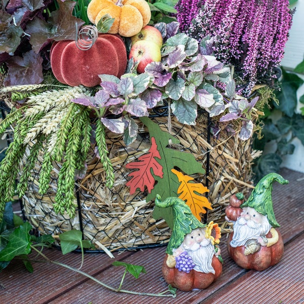 Dekorative Herbstszene mit Pflanzen, Zierkürbissen und Gartenzwergen in einem Korb auf einer Holzterrasse