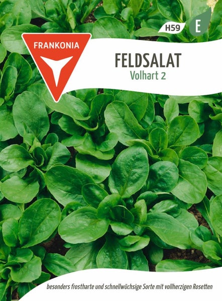 Feldsalat Samen Volhart 2