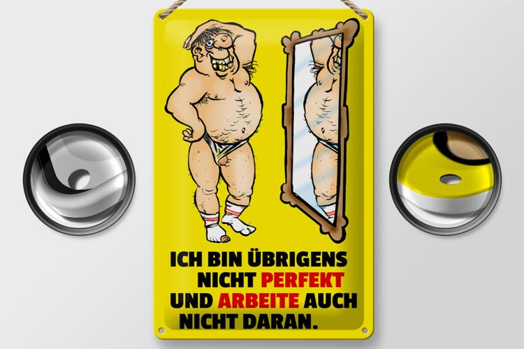 Blechschild Spruch 20x30cm Ich bin übrigens nicht perfekt