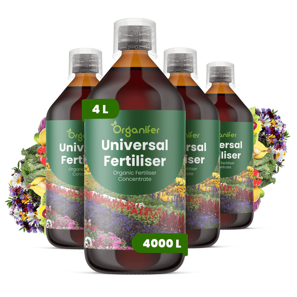 Organifer Universal Flüssigdünger Konzentrat, 4 Liter Flasche für 4000 Liter Gießwasser, organischer Dünger für Blumen und Gemüse.