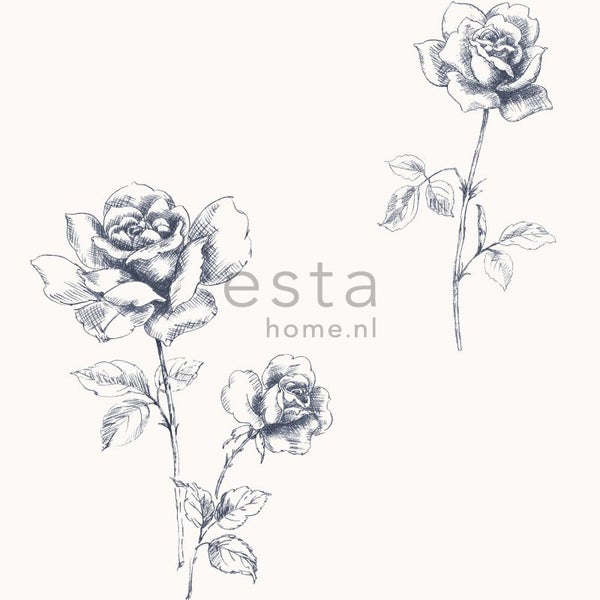 Illustration von Rosen auf einem Hintergrund