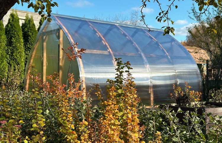 Ein gebogenes Gewächshaus mit Holzgestell und lichtdurchlässigen Paneelen inmitten einer hellen Gartenanlage.