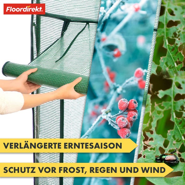 FLOORDIREKT Gewächshaus Botanika - Witterungsbeständig - Für besonders hohe Pflanzen - 77 x 200 x 169 cm
