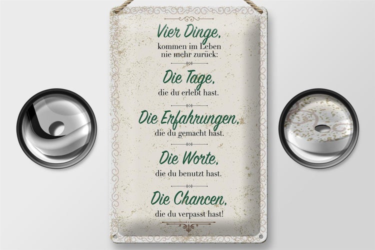 Blechschild Spruch Vier Dinge kommen nie zurück 20x30cm