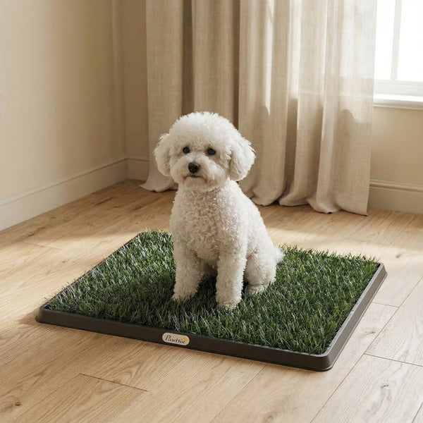 PawHut Hundetoilette mit Kunstrasen und Auffangschale für Welpen und kleine Hunde in einem hellen Zimmer mit Holzfussboden.