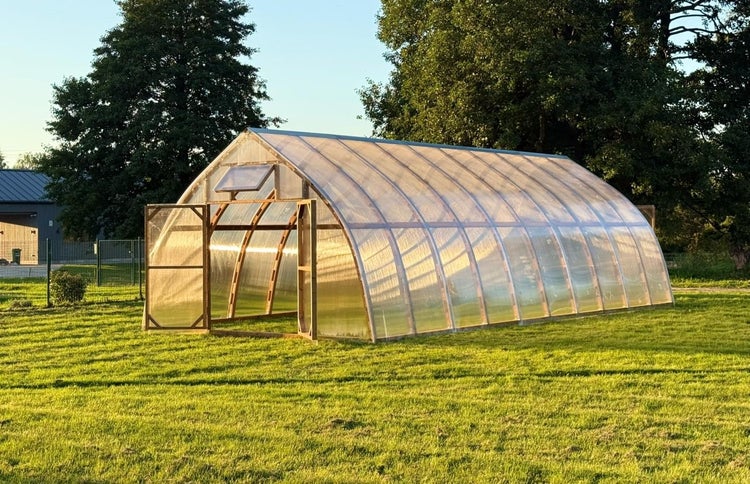 Gewächshaus mit Holzrahmen und geöffneter Tür im Garten.