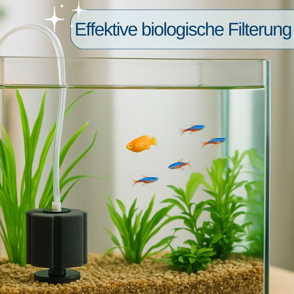 Aquarium mit Innenfilter, Pflanzen und Fischen für effektive biologische Filterung