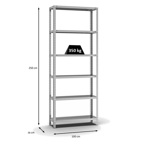 PROREGAL Fachbodenregal Schraubsystem Heavy-Duty Grundregal HxBxT 250 x 100 x 30 cm 6 Ebenen Fachlast 350 kg Beidseitig Nutzbar Verzinkt