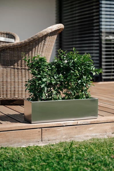 Rechteckiger Pflanzkasten aus Edelstahl auf einer Holzterrasse neben einem Korbsessel mit grünen Pflanzen.