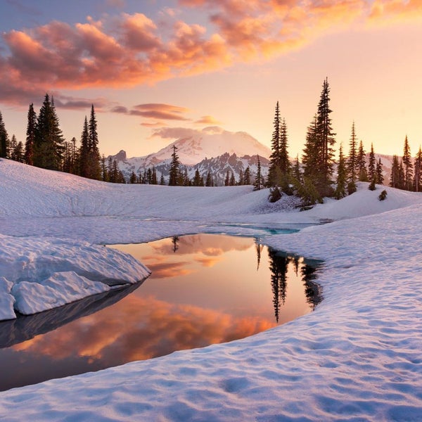Winterlandschaft mit Schnee, Bäumen, Berg und Himmel