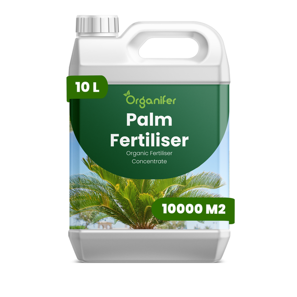 Hände pflanzen eine Sagopalme Cycas revoluta in einen Tontopf mit Erde ein, Organifer Logo.