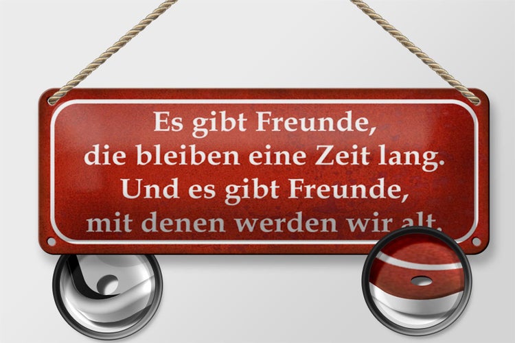 Blechschild Spruch 27x10cm es gibt Freunde mit denen alt Dekoration