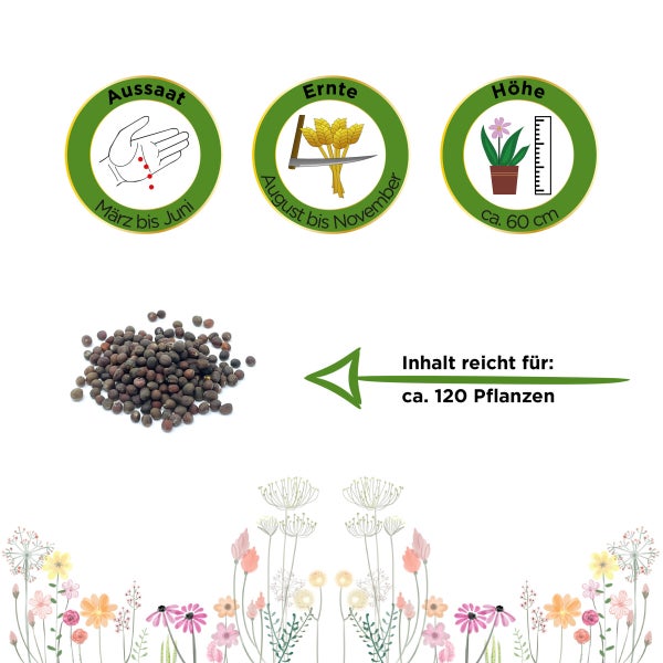 Palmkohl Nero di Toscana Samen von Deine Gartenwelt