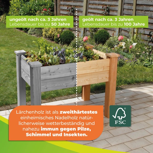 Hochbeet aus Lärchenholz im Garten, Vergleich von ungeöltem und geöltem Holz nach circa 3 Jahren, FSC Logo.