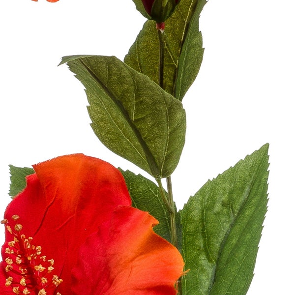 Birkenkätzchen an Zweigen, grüne hängende Blütenstände der Birke.