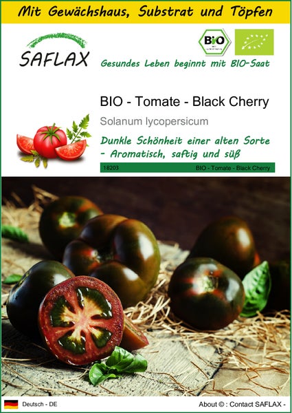 SAFLAX Anzucht Set - BIO - Tomate - Black Cherry - Solanum lycopersicum - 10 Samen - Mit Mini-Gewächshaus, Anzuchtsubstrat und 2 Töpfen