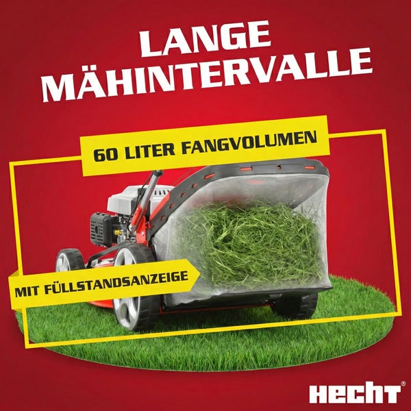 Hecht Benzin-Rasenmäher mit 60 Liter Grasfangkorb und Füllstandsanzeige auf einer Rasenfläche. Hecht Logo.
