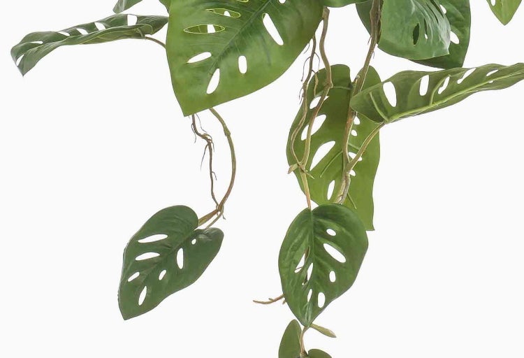 Künstliche Hängepflanze mit grünen gelochten Blättern und braunen Trieben.