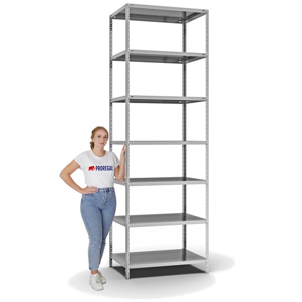 PROREGAL Fachbodenregal Schraubsystem Medium-Duty Grundregal HxBxT 300 x 100 x 60 cm 7 Ebenen Fachlast 200 kg Beidseitig Nutzbar Verzinkt
