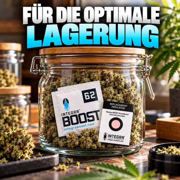 Integra Boost Humidipak 62 Prozent in einem Vorratsglas aus Glas mit Holzdeckel zur optimalen Lagerung von Kräutern.