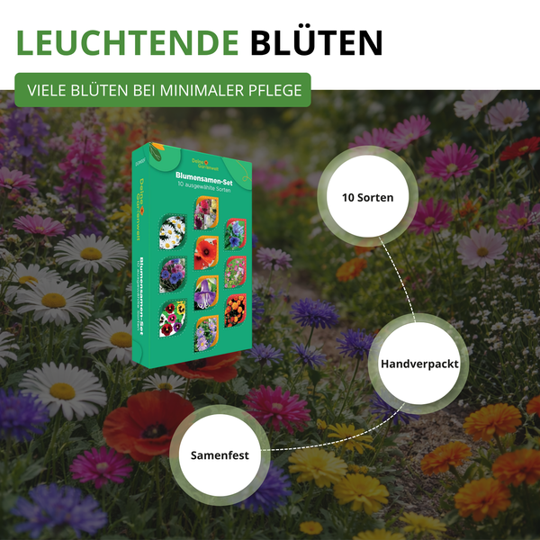Blumensamen-Set mit 10 Sorten, handverpackt und samenfest, Deine Gartenwelt Logo, für viele Blüten bei minimaler Pflege vor einer Blumenwiese.