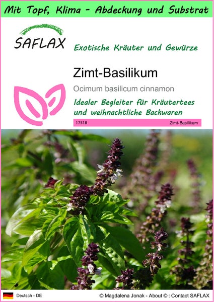 SAFLAX Garden to go - Zimt-Basilikum - Ocimum basilicum cinnamon - 200 Samen - Mit Topf, Klima - Deckel und Anzuchtsubstrat