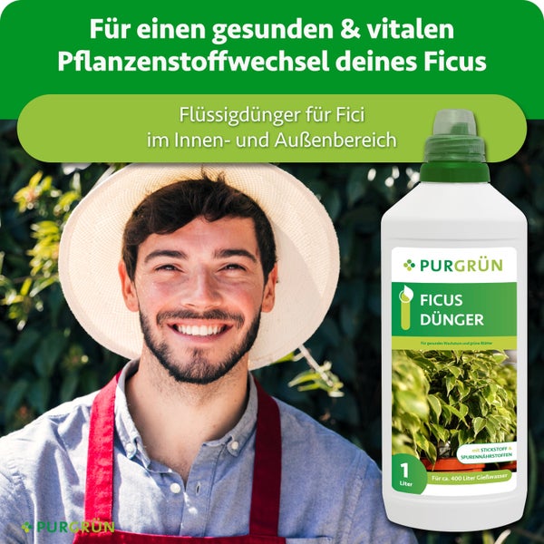Eine Flasche Purgrün Ficus Dünger mit einem Liter Inhalt vor einem lächelnden Gärtner mit Hut und Schürze.