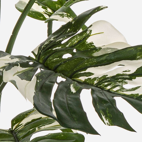 Künstliche Monstera Pflanze mit grün und weiß gemusterten Blättern.
