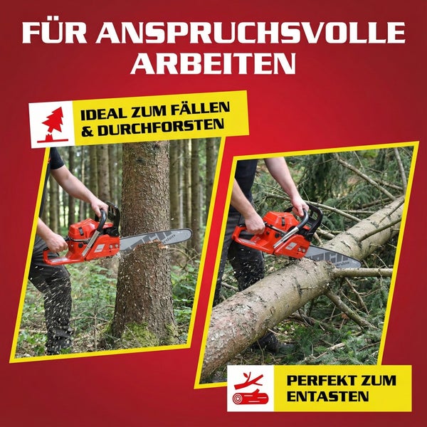 Kettensäge in Aktion beim Fällen eines Baumes und Entasten von Ästen