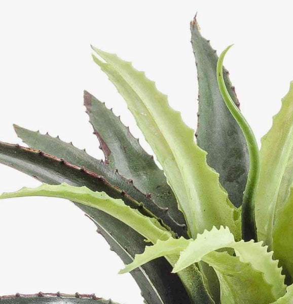 Detailansicht einer künstlichen Agave mit gezackten dunkelgrünen Blättern und einem strukturierten Stiel zum Einstecken.