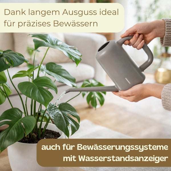 Person bewässert Zimmerpflanze mit grauer Gießkanne mit langem Ausguss. Ideal für präzises Gießen und Bewässerungssysteme.
