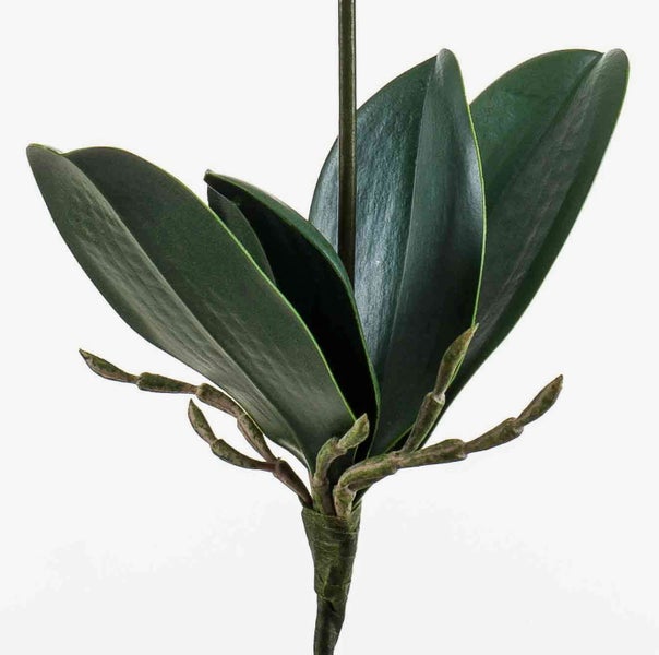 Künstlicher Olivenzweig mit grünen, länglichen Blättern.