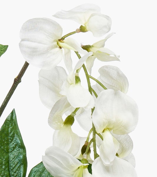 Nahaufnahme einer künstlichen Sukkulente mit grünen und gelben Blättern