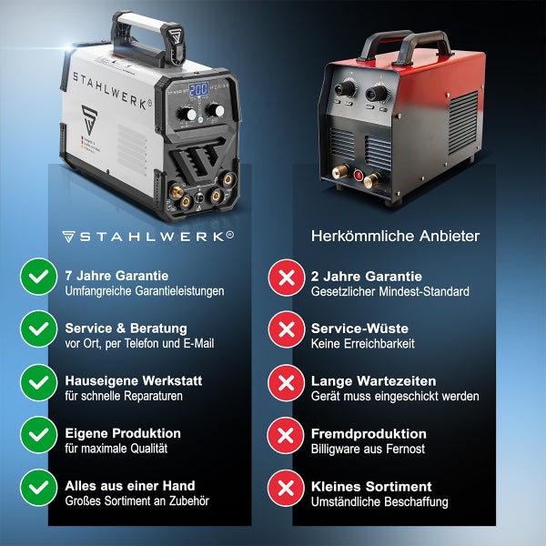 Araukarie im Topf für den Innenbereich