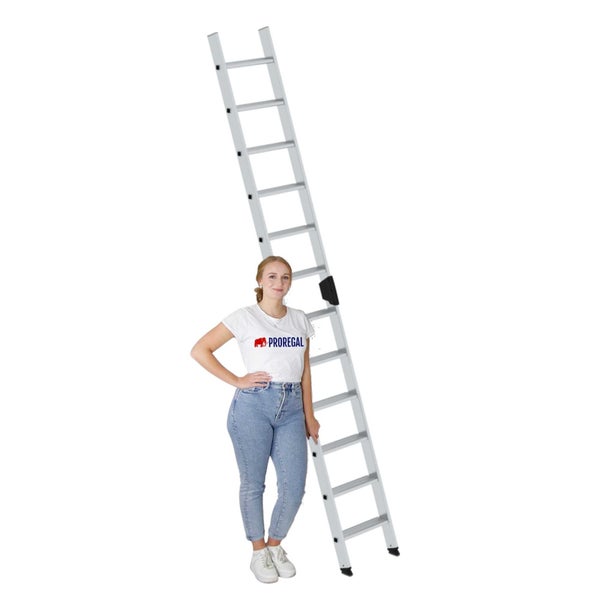 PROREGAL Stufen-Anlegeleiter Ohne Traverse 12 Stufen