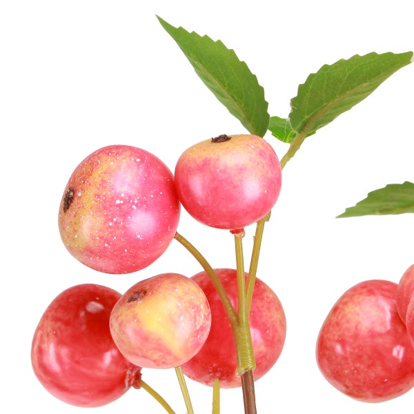 Dekozweig mit roten Beeren und grünen Blättern