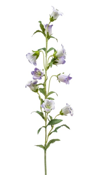 Künstliche Glockenblume mit violett-weißen Blüten und grünen Blättern.