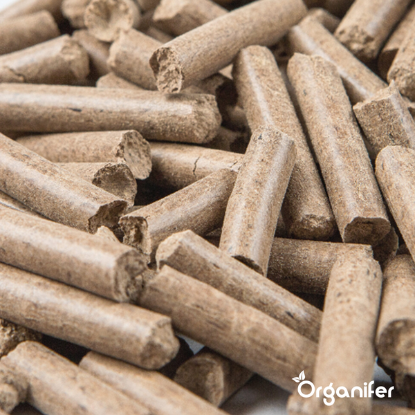 Nahaufnahme von Holzpellets als Brennmaterial