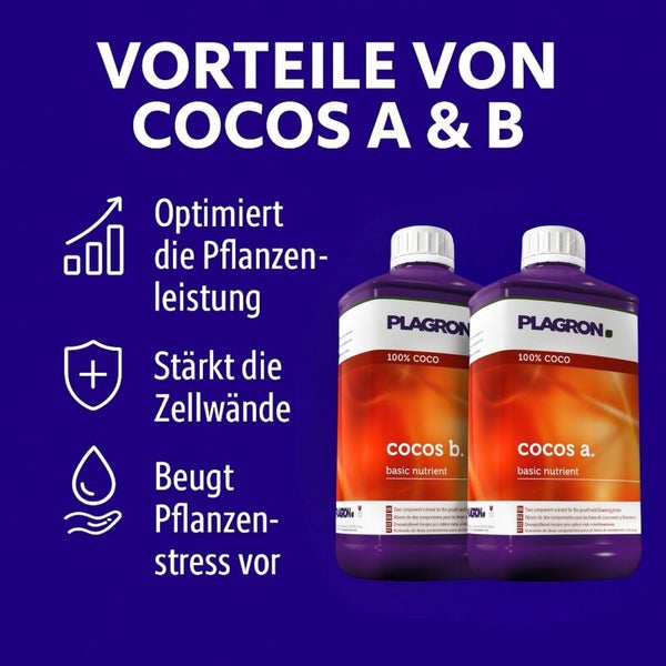 Plagron Cocos A und B Pflanzennährstoffe zur Optimierung der Pflanzenleistung und Stärkung der Zellwände
