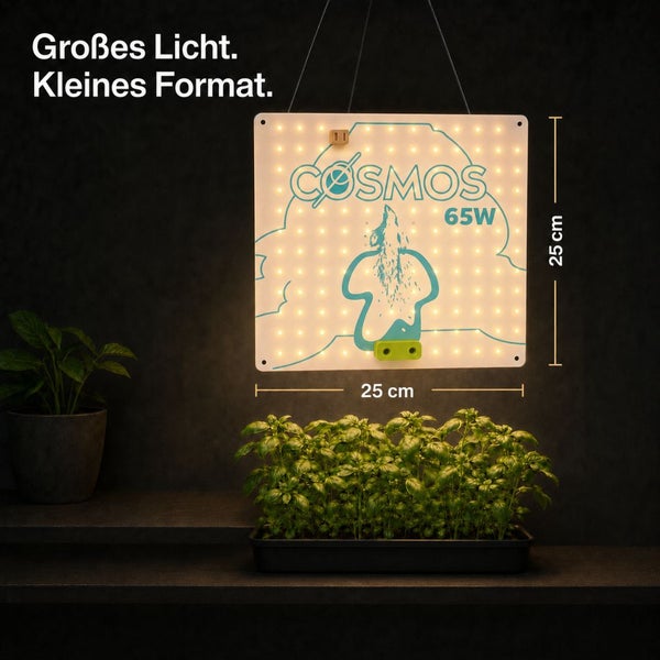 Quadratische LED-Pflanzenlampe mit COSMOS Logo, 65 Watt, 25 Zentimeter mal 25 Zentimeter, hängend über Basilikumpflanzen.