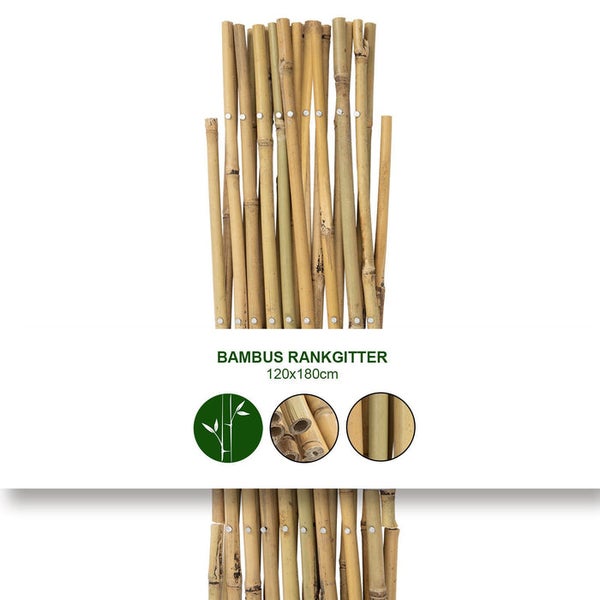 Bambus Rankgitter, 120 mal 180 Zentimeter, für Garten und Pflanzen