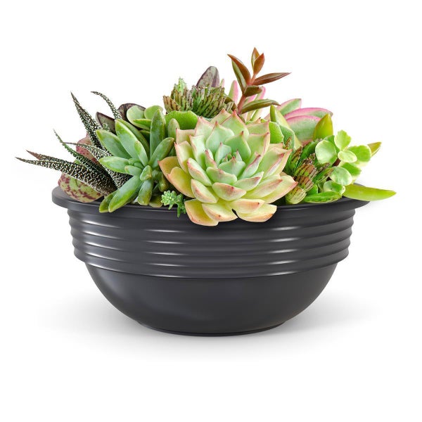Plastard Blumenschale Anthrazit Ø 45 cm Pflanzschale Schale