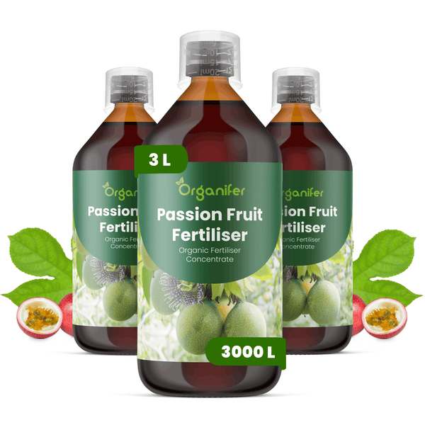 Drei Flaschen Organifer Bio-Flüssigdünger Konzentrat für Passionsfrüchte, 3 Liter.