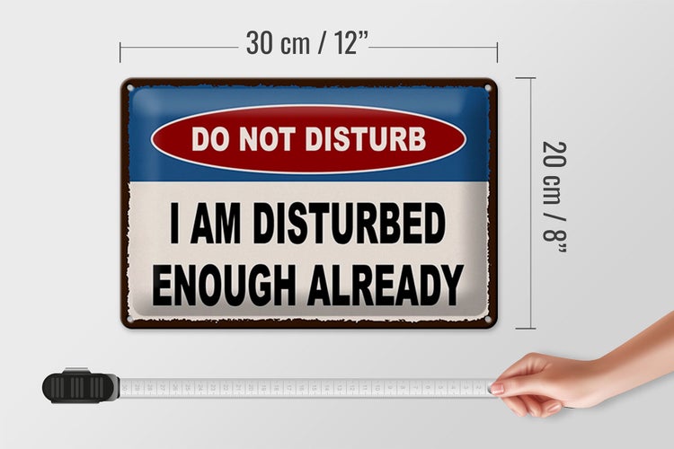 Blechschild Spruch 30x20cm do not disturb I am disturbed