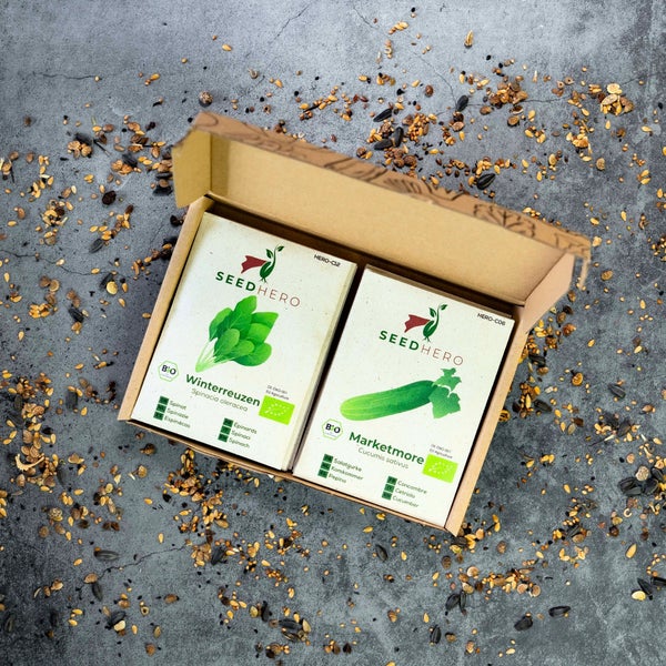 Bio-Saatgut-Set von SEEDHERO mit Winterspinat Winterreuze und Gurke Marketmore in einer Pappschachtel.