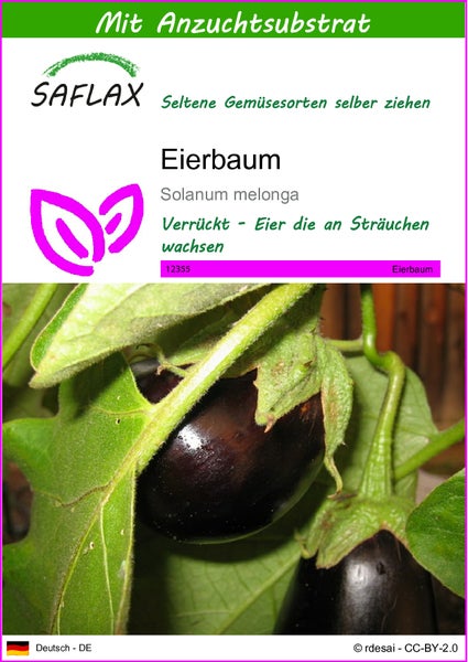 SAFLAX  - Eierbaum - Solanum melonga - 20 Samen - Mit keimfreiem Anzuchtsubstrat