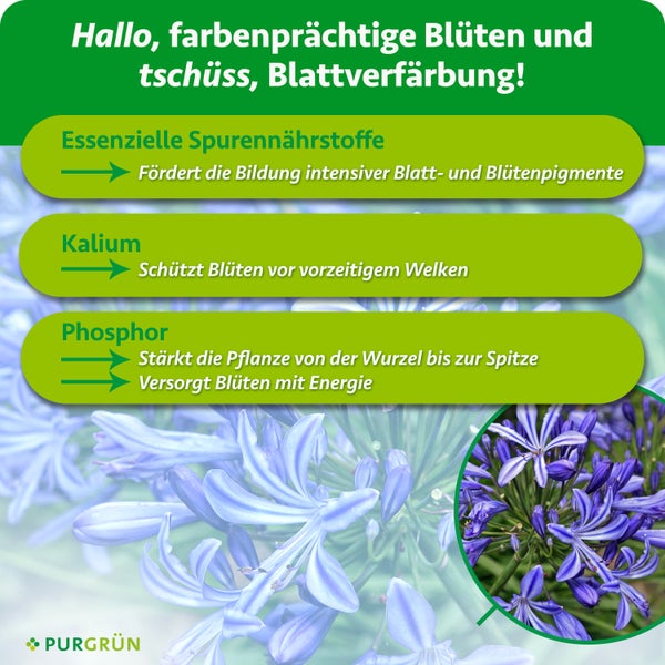 Infografik zum Purgruen Pflanzenduenger mit Informationen zu Spurennahhrstoffen, Kalium und Phosphor zur Foerderung von Blueten und Blattgesundheit.