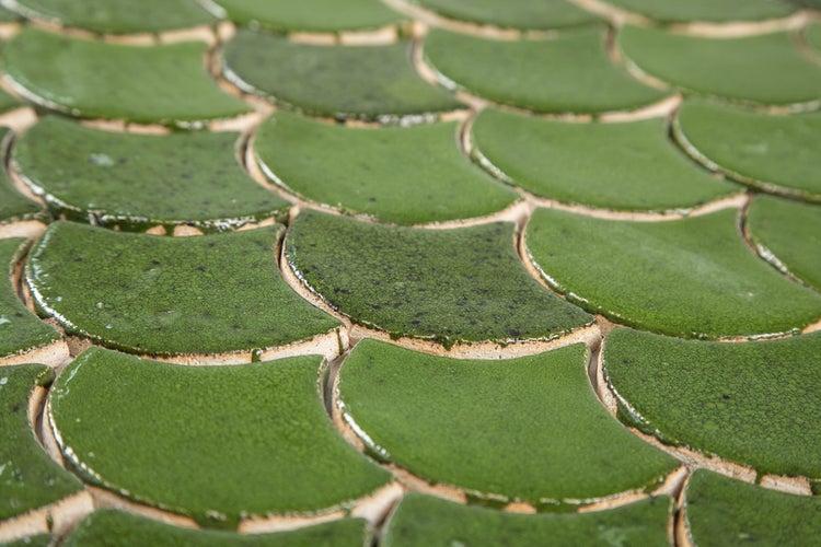 Fliesen mit Ornamentmuster