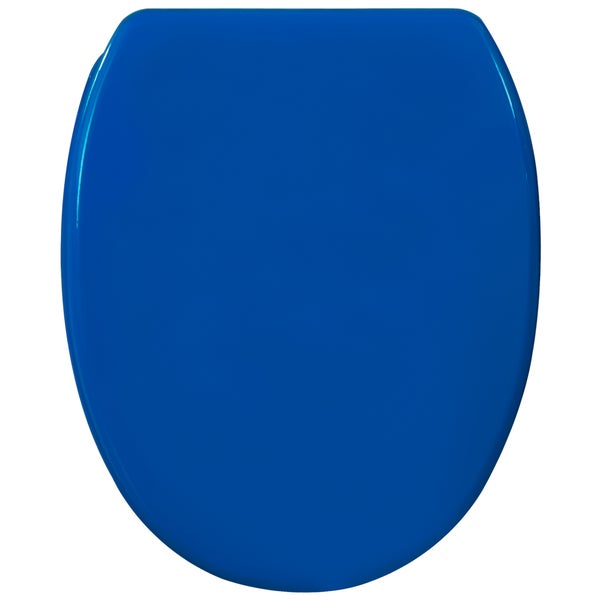 Blauer WC-Sitz Deckel mit glänzender Oberfläche.