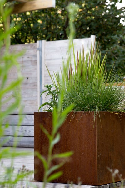 Quadratischer Pflanzkübel aus Cortenstahl mit grünem Ziergras vor einem Holzzaun im Garten.